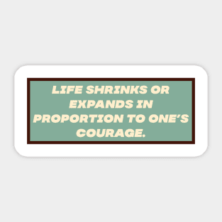 Life Shrinks Sticker
